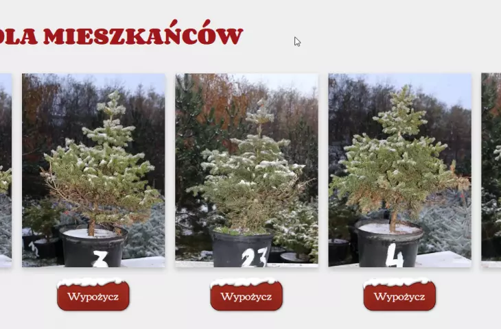 Christmas trees can be rented at 