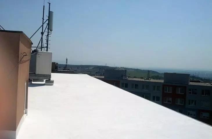 COLD ROOF-FLEX RUBBER MS