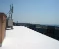 COLD ROOF-FLEX RUBBER MS