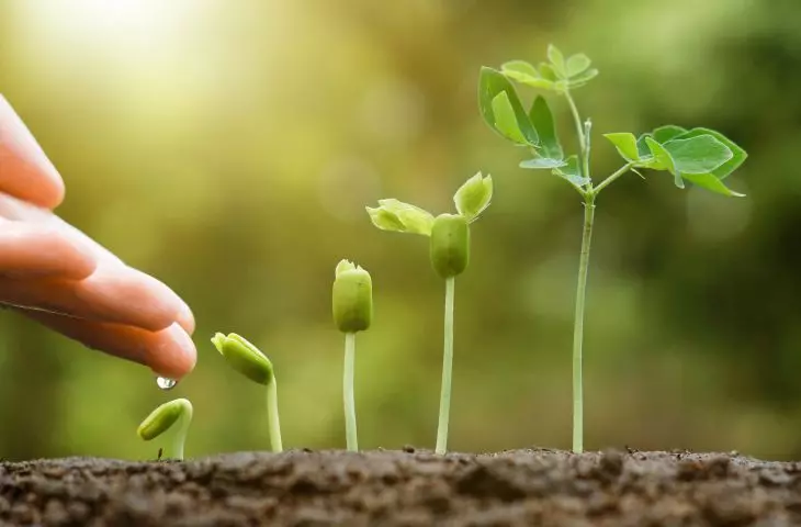 We are well on our way to decarbonizing our plants.
