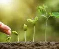 We are well on our way to decarbonizing our plants.