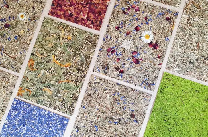 Organoid – pachnące i naturalne powierzchnie dekoracyjne