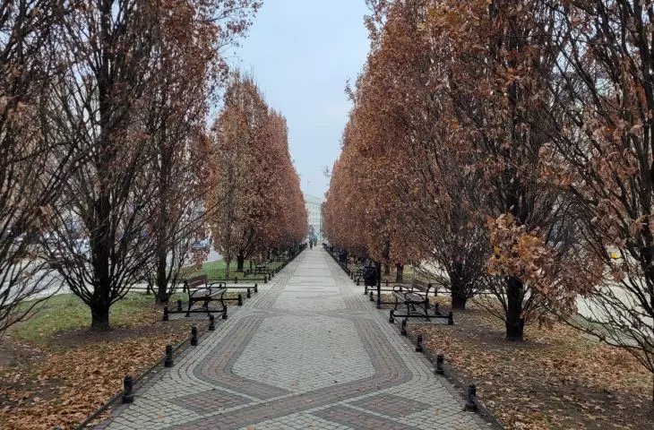 Marcinkowskiego Avenue, Poznań, 2022