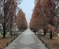 Marcinkowskiego Avenue, Poznań, 2022