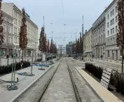 Marcinkowskiego Avenue, Poznań, 2022