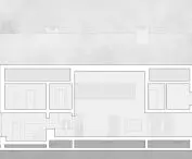 longitudinal section