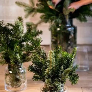 Twigs in a vase are a great alternative to a Christmas tree