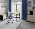 Home Office Furniture