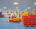Our implementation at the KPS Food factory