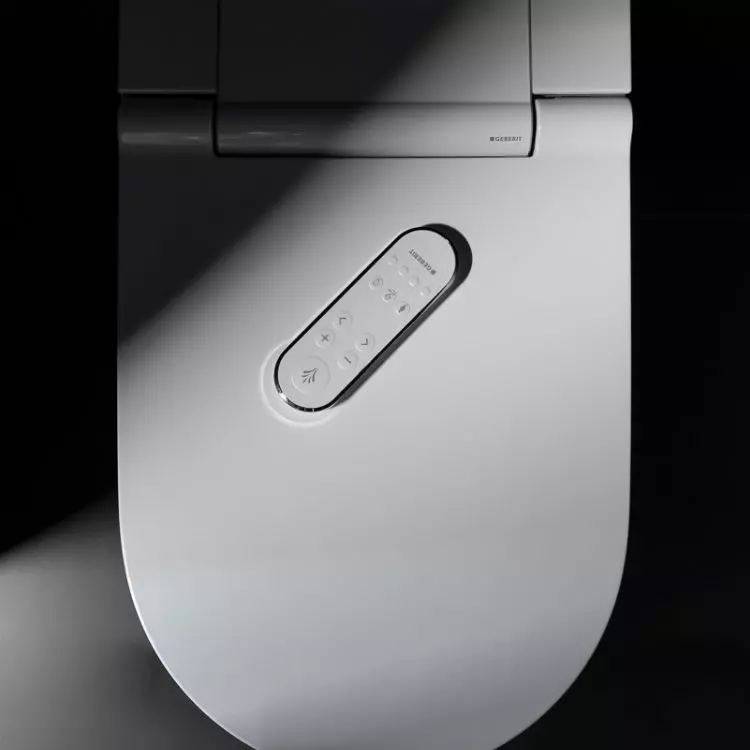 Remote-controlled toilet