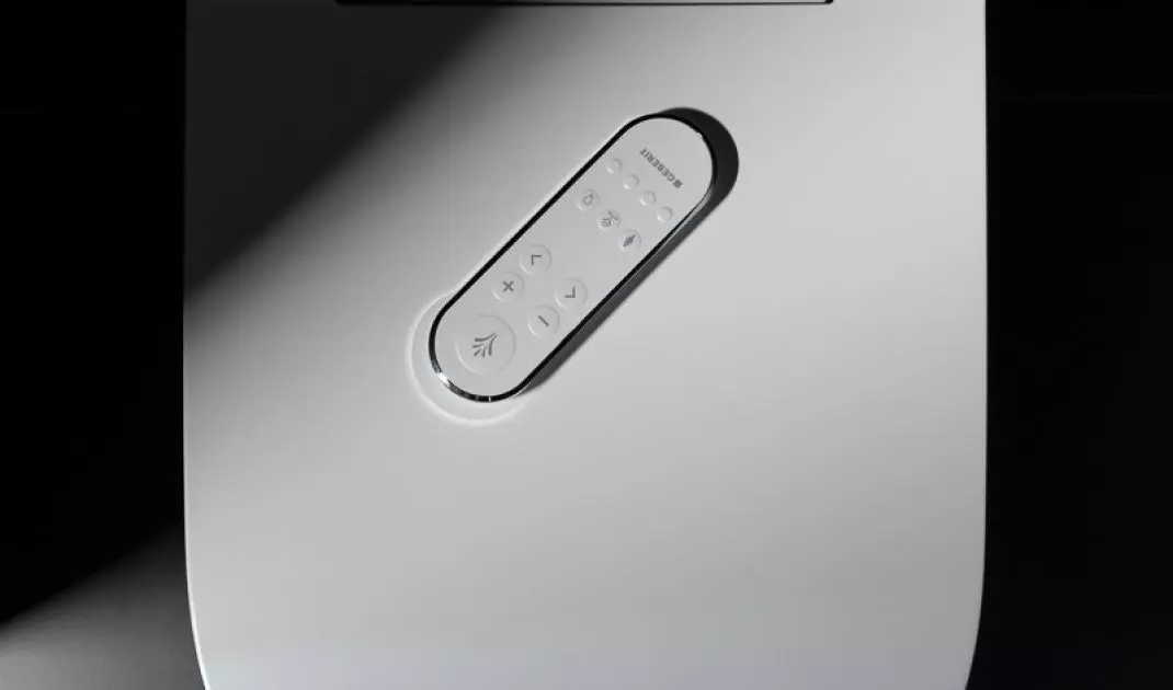 Remote-controlled toilet 