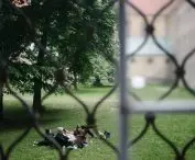 OSSA Spatium, Lubiąż, 2020