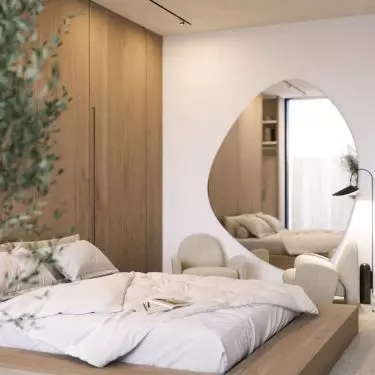 The interior features a large mirror with an organic shape