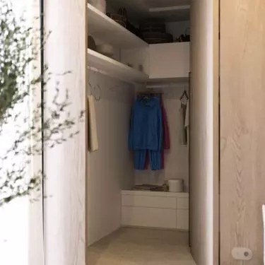 Hidden closet