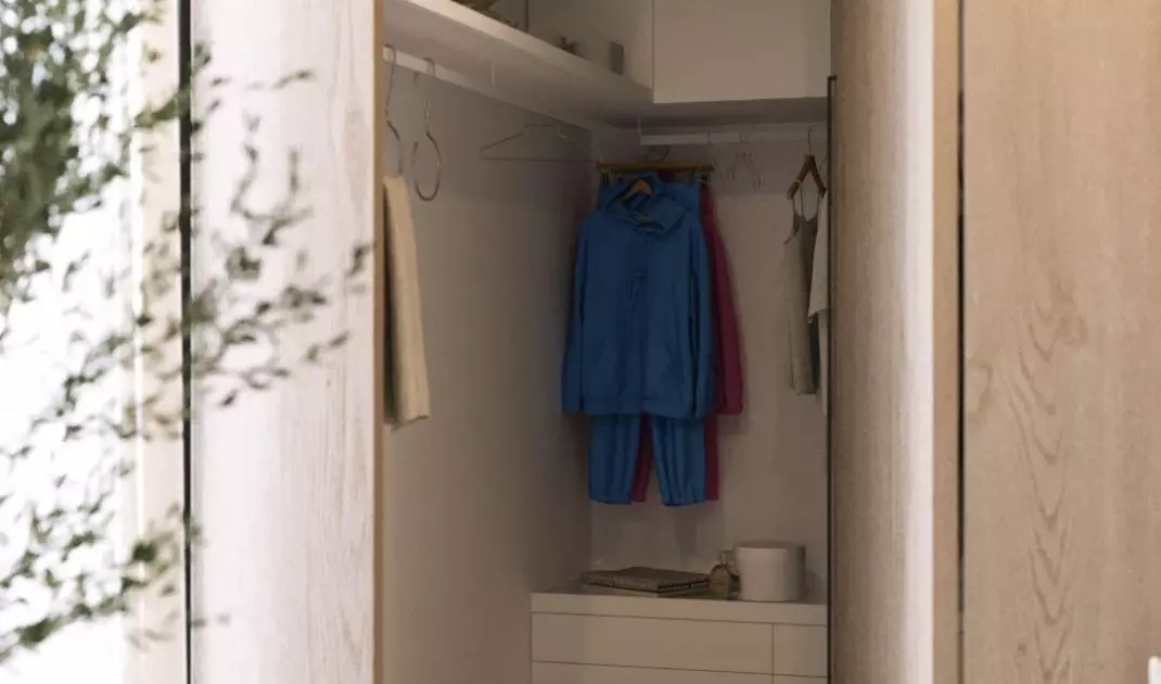 Hidden closet