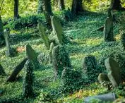 jewish cemetery