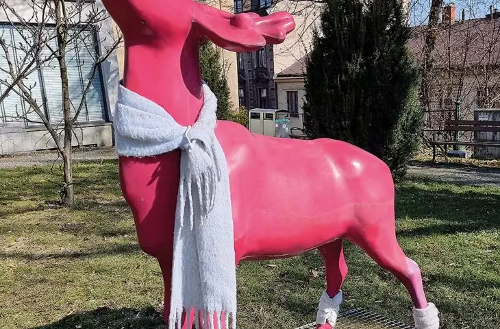 różowy jeleń na Wzgórzu Zamkowym