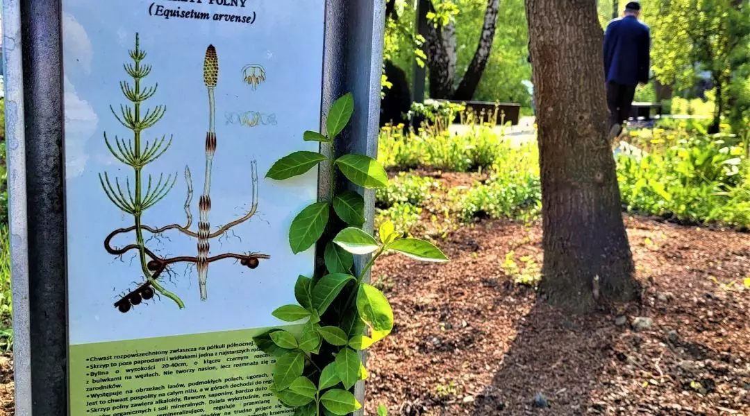 Wyróżnienie w kategorii Przestrzeń publiczna