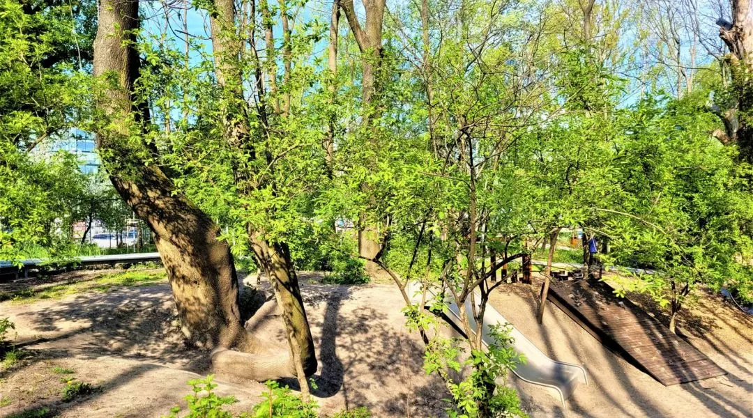 Wyróżnienie w kategorii Przestrzeń publiczna
