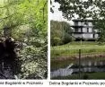 Declarations about a sustainable city sponge off under development pressure, just like the last wetlands in the Bogdanka valley in Poznań