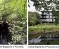 Deklaracje na temat zrównoważonego miasta gąbki znikają pod presją zabudowy, tak jak ostatnie mokradła w dolinie Bogdanki w Poznaniu
