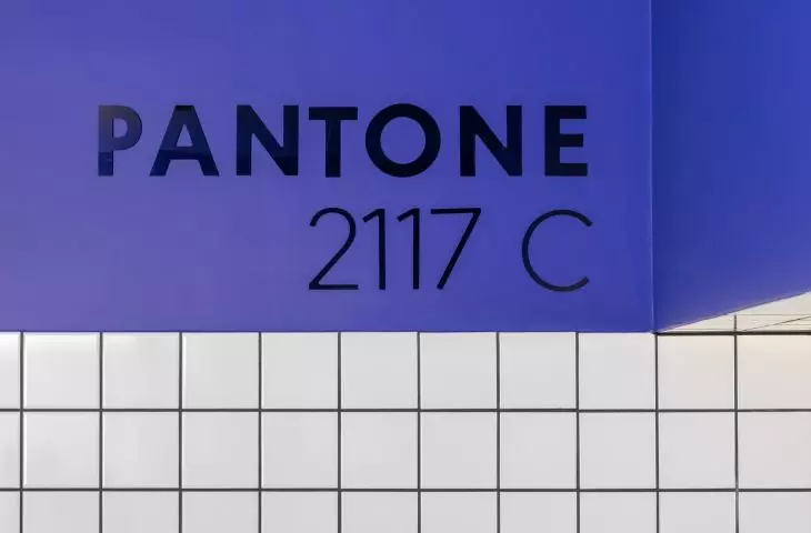 FORMSON office, color PANTONE 2117 C