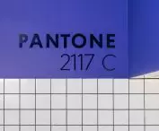 Biuro FORMSON, kolor PANTONE 2117 C