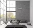 Fairy Silver indoor unit