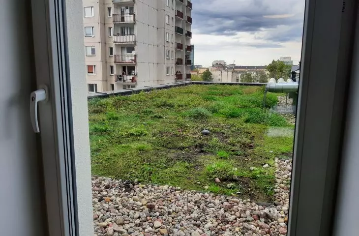 Green roof on a multi-family building in Lodz, Poland