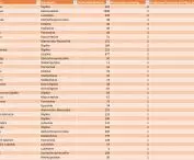 Table of the general classification of the Polish Championships in Fountain Ripping