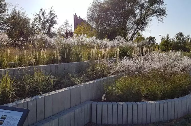 Miasto na celowniku — POZNAŃ