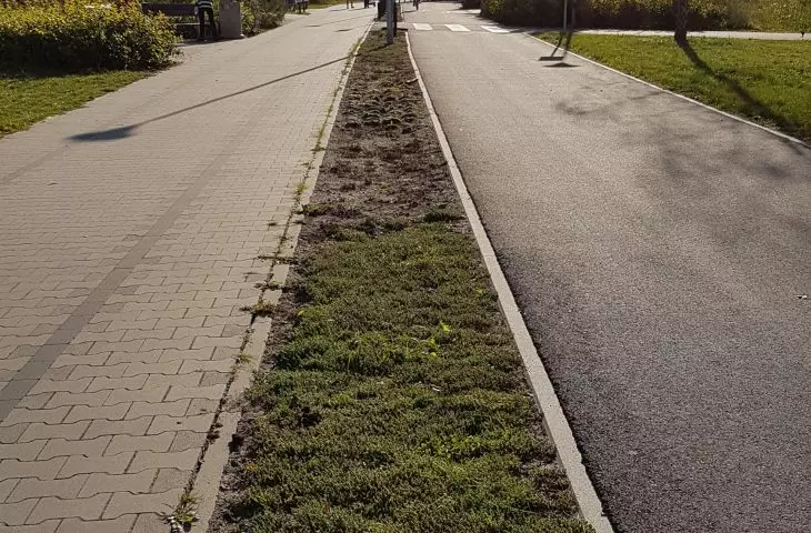 Miasto na celowniku — POZNAŃ