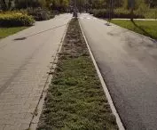 Miasto na celowniku — POZNAŃ