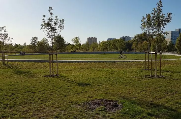 Miasto na celowniku — POZNAŃ