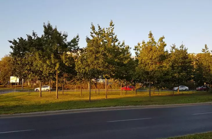 Miasto na celowniku — POZNAŃ