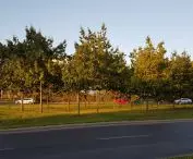 Miasto na celowniku — POZNAŃ