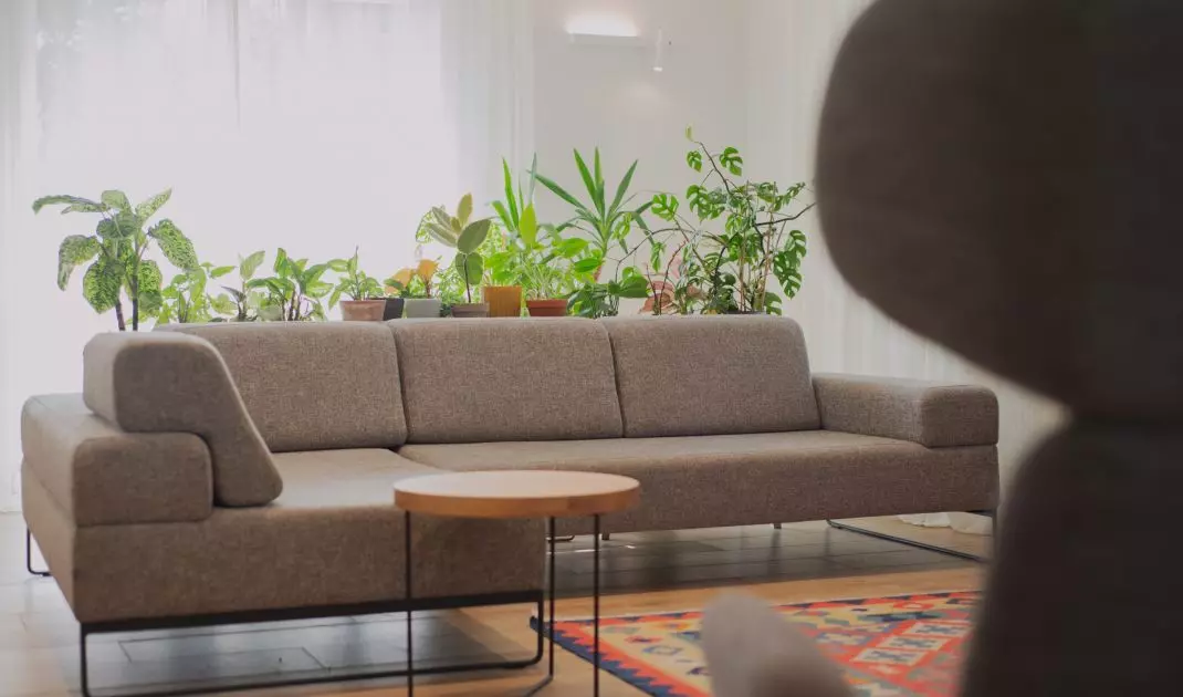 Couch