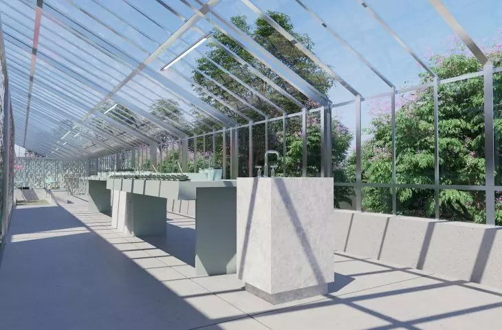 Zone II floristics