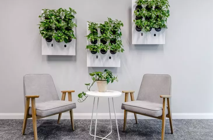 Greenery is an important design element