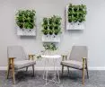 Greenery is an important design element