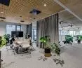 Divisions in the office are defined by greenery, screens and acoustic panels