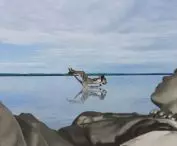 kadry z filmu