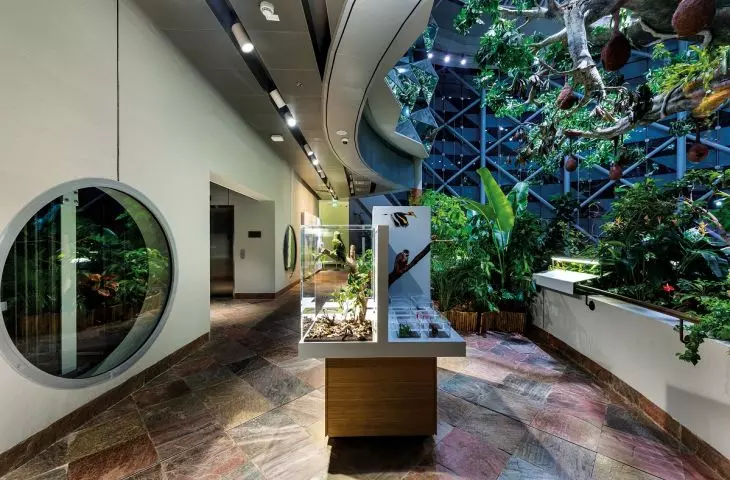 Green Planet w Dubaju