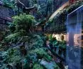 Green Planet in Dubai