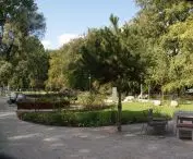 Miasto na celowniku — Trójmiasto