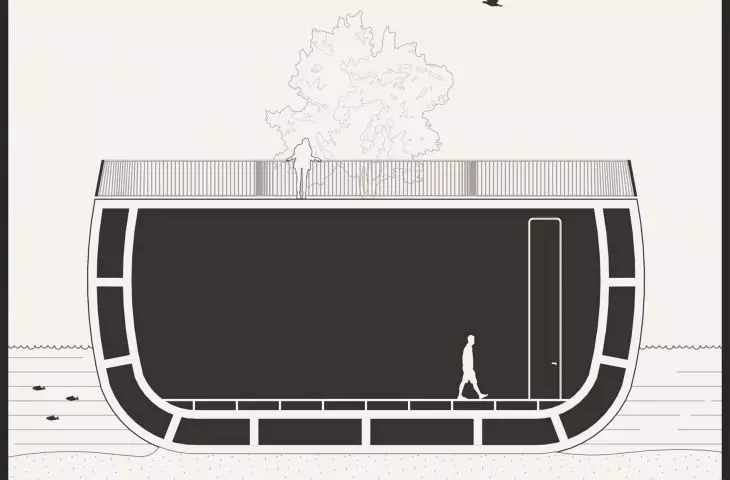 D-D section