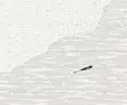 location of the ship