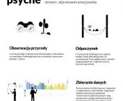 Założenia strefy PSYCHE