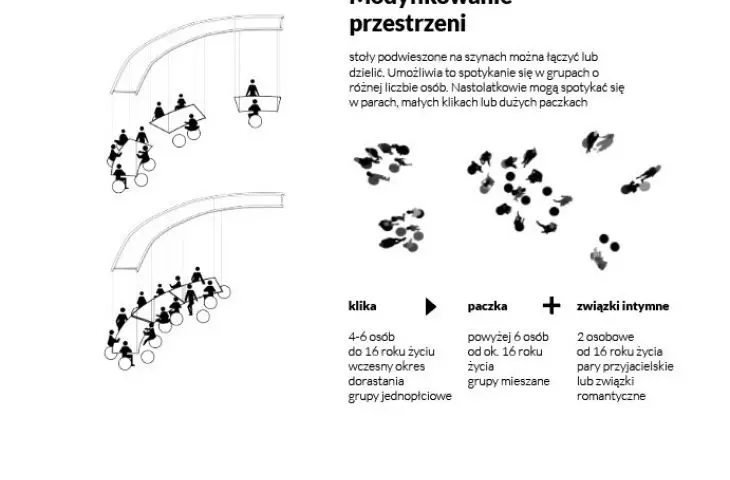 Założenia strefy POLIS
