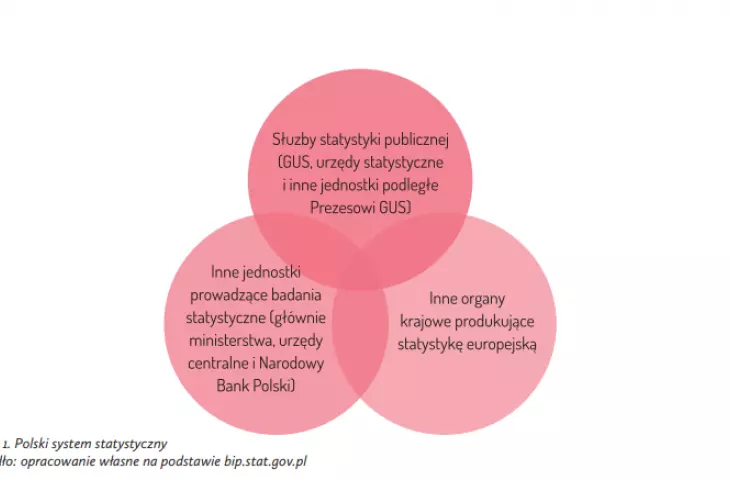 Polish statistical system